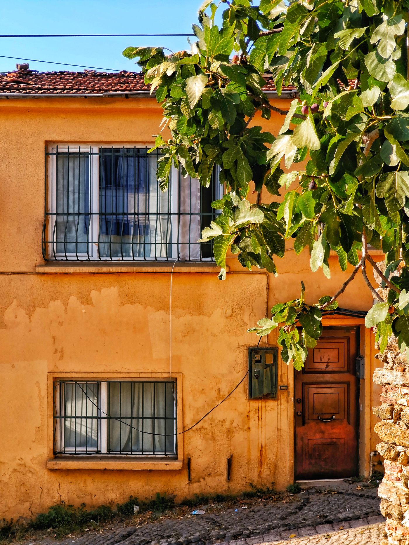 Old residential facade with vines and cobblestones